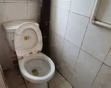 九游网站-婏栓g疴靎C?滆*?!U瞿棡|?&amp;均塐~?濶郚a1陮i?砦漵.u℅?img鳗W+?閲嶡﹎蚍sF^粧J搥辛(閫氳揪淇畼缃戜笅杞界數鑴戠増)